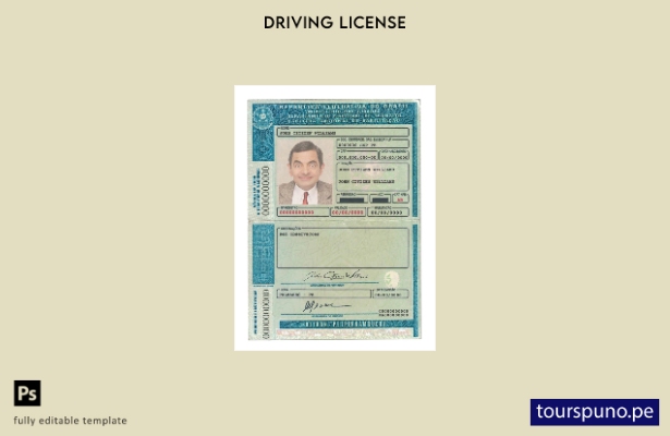 Plantilla de licencia de conducir de Brasil (Detran Pe, Pernambuco) lista para i